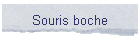 Souris boche