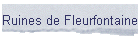 Ruines de Fleurfontaine