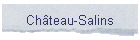 Chteau-Salins