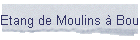Etang de Moulins  Bouxires-aux-Chnes